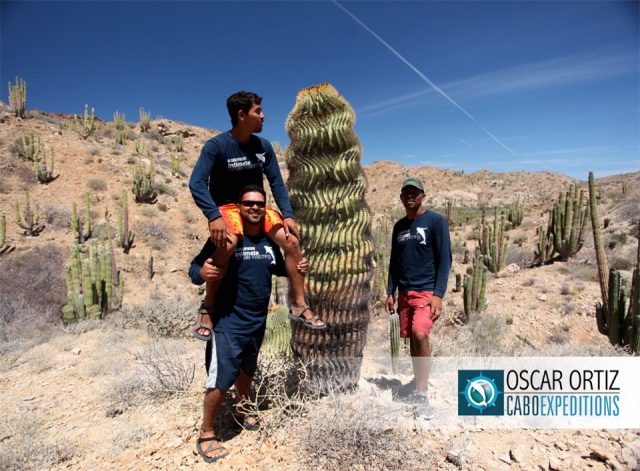 Guias en el desierto